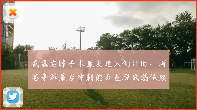 武磊右膝手术康复进入倒计时，海港争冠最后冲刺能否重现武磊依赖症？